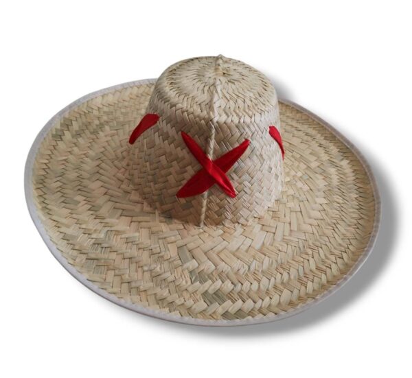 Sombrero Michoacano Palma